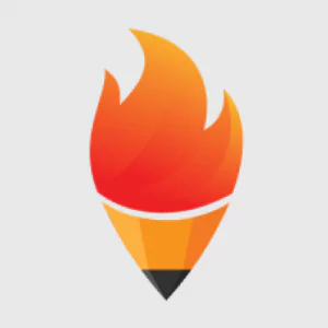 Domyessay service logo